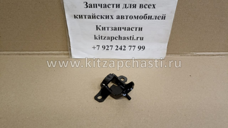 Петля задней правой двери FAW Besturn B50 FC0172240